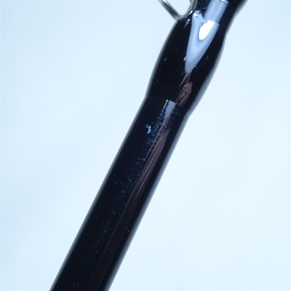 蒼竜イカダ１８０